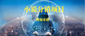 视频号小说分销项目-88副业网