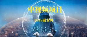 中视频伙伴计划项目-88副业网