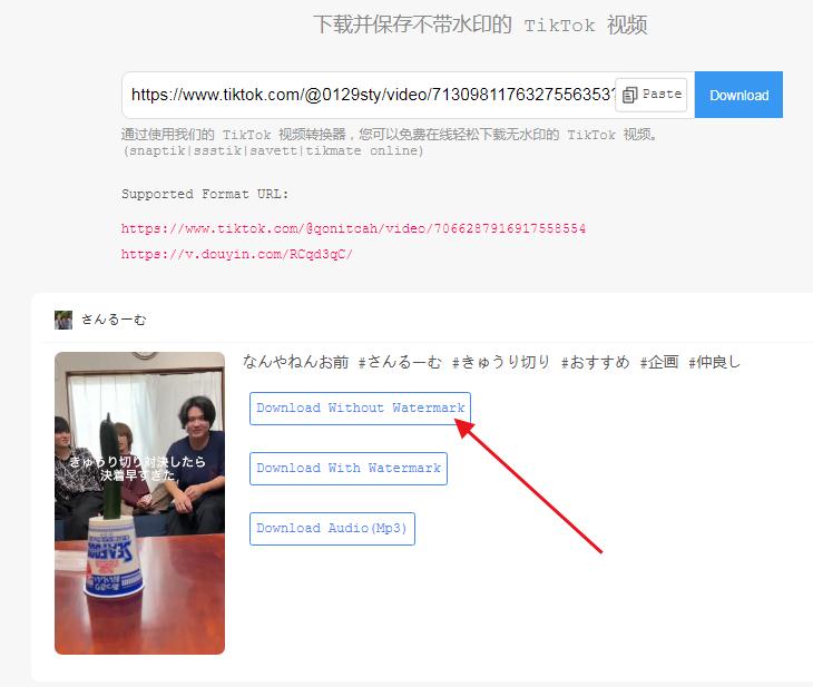 图片[3]-tiktok如何去水印,tiktok视频去水印工具