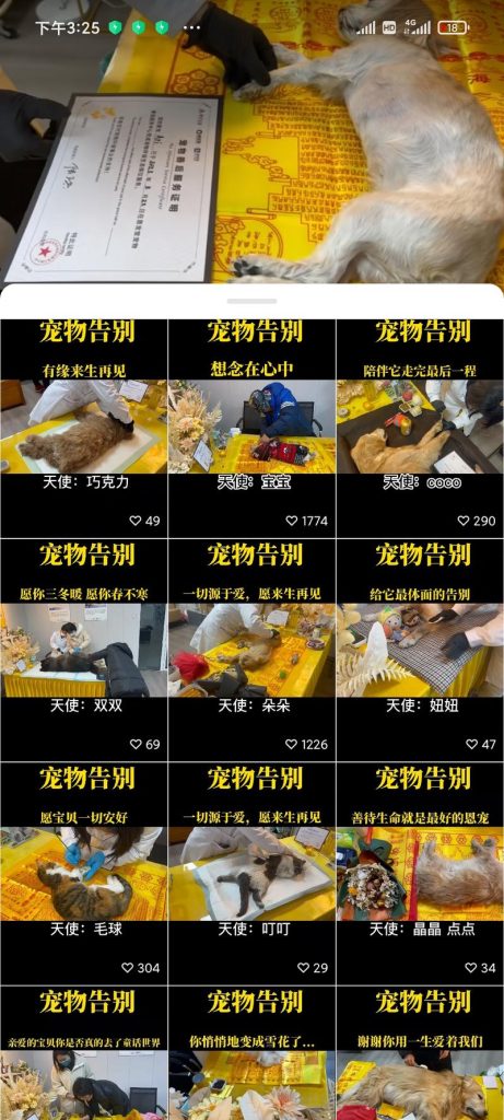 视频号做宠物殡葬的商机思路-商机库社区-六库全书-88副业网