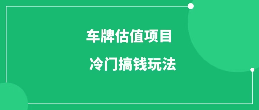 抖音无人直播车牌估值项目，有人一晚变现4位数-一研社副业网