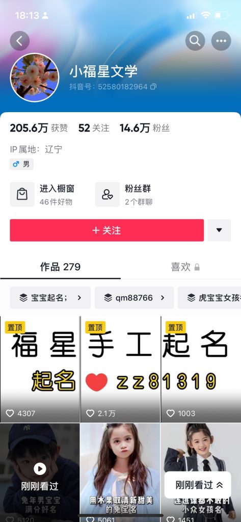 案例97：宝宝起名-案例库社区-六库全书-88副业网