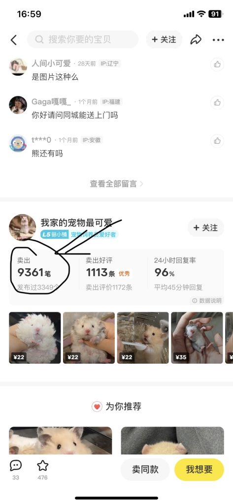 宠物类项目在闲鱼的商机思路-商机库社区-六库全书-88副业网