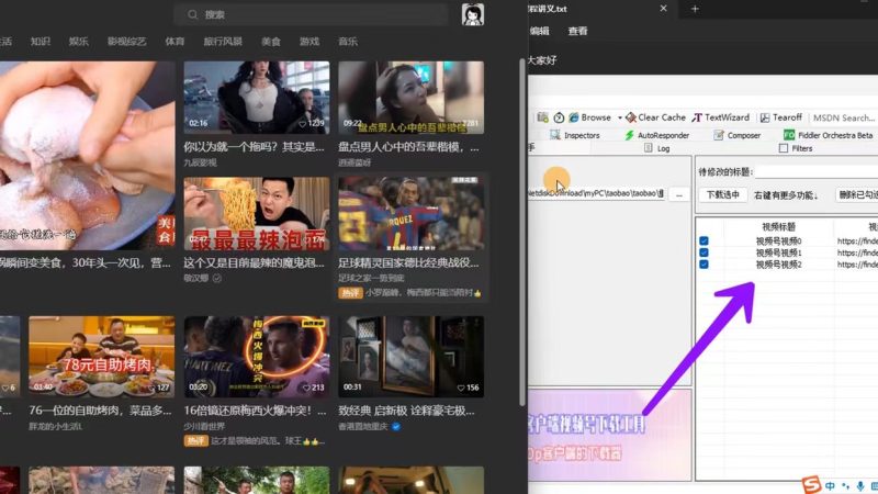 视频号下载工具，附保姆级使用教程-88副业网
