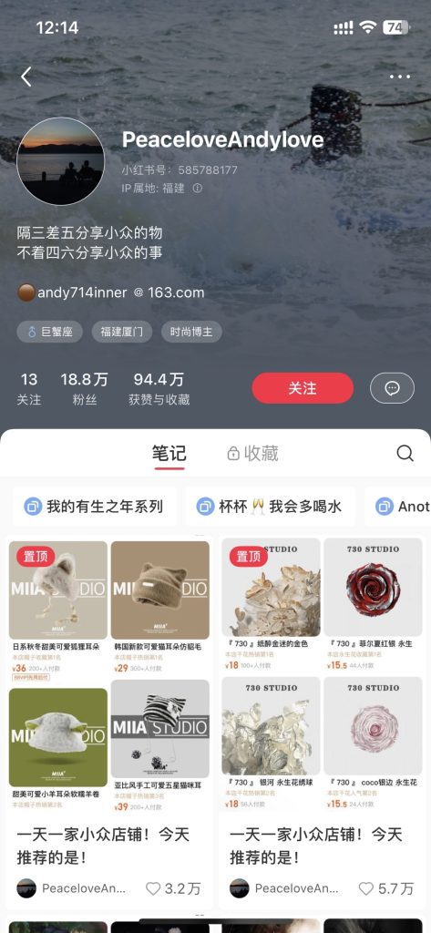 一天一家小众店铺推荐，也能轻松赚钱-商机库社区-六库全书-88副业网