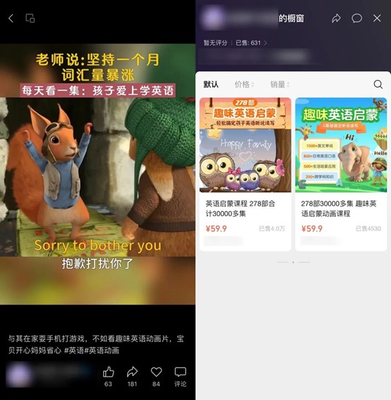 视频号的短视频变现案例（60个）-案例库社区-六库全书-88副业网
