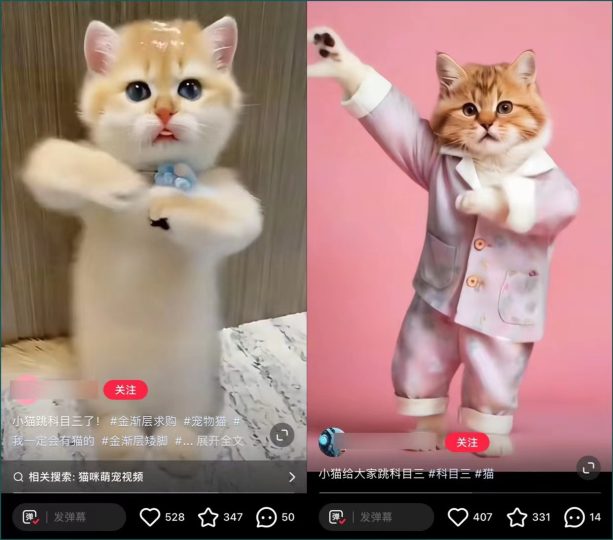 项目148：小红书热门萌宠项目，新手小白也能操作。-88副业网