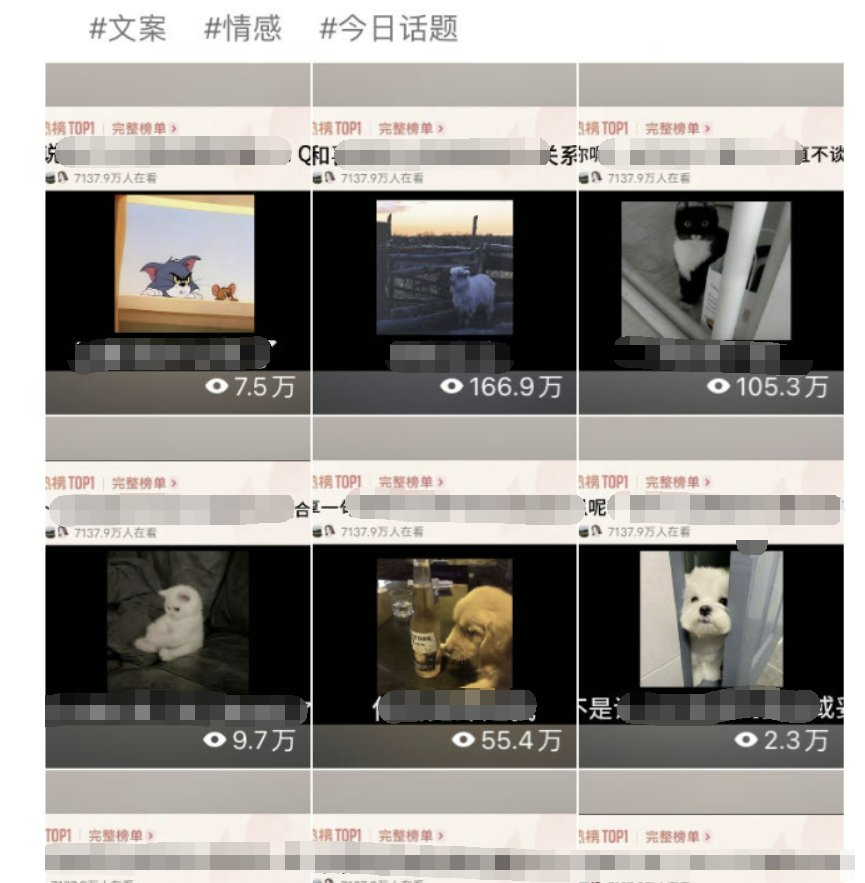 8.0视频号分成计划-今日话题领域-视频号分成计划社区-项目手册-88副业网