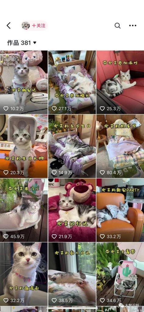 宠物领域，职业宠物自媒体的播放量下限都很高-商机库社区-六库全书-88副业网
