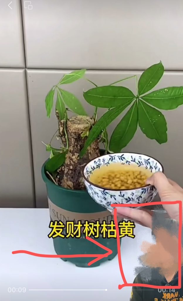 视频号混剪，很牛逼的过原创方式，搞视频号分成计划赚钱过年！-商机库社区-六库全书-88副业网
