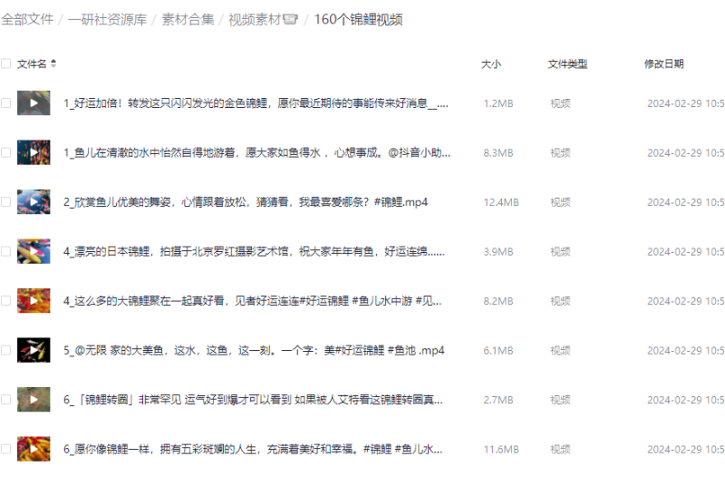 锦鲤视频素材160个-88副业网