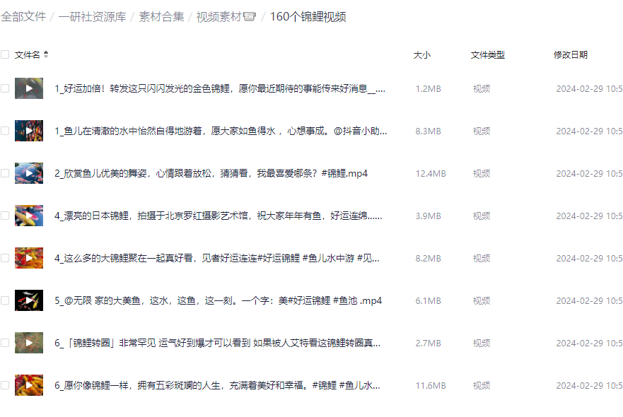 锦鲤视频素材160个-资源库社区-六库全书-88副业网